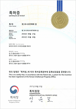 10-1223908 10-1223908
